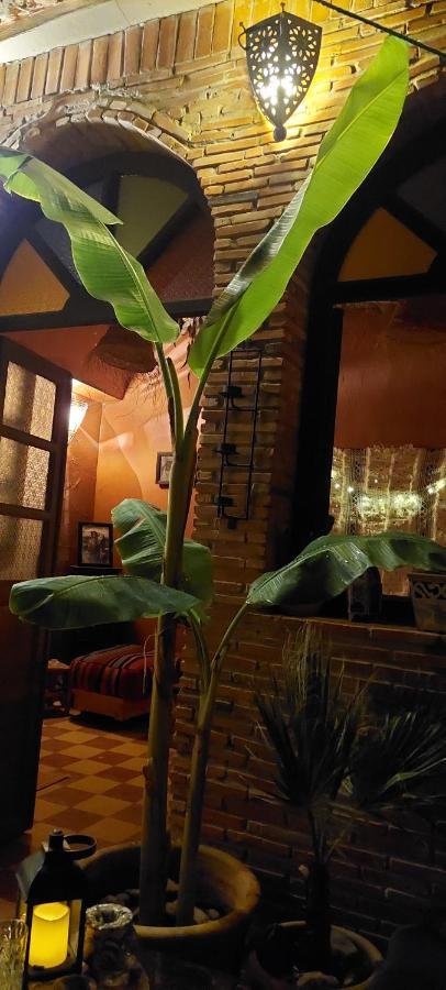 Riad Kainos Marrakesh Bagian luar foto