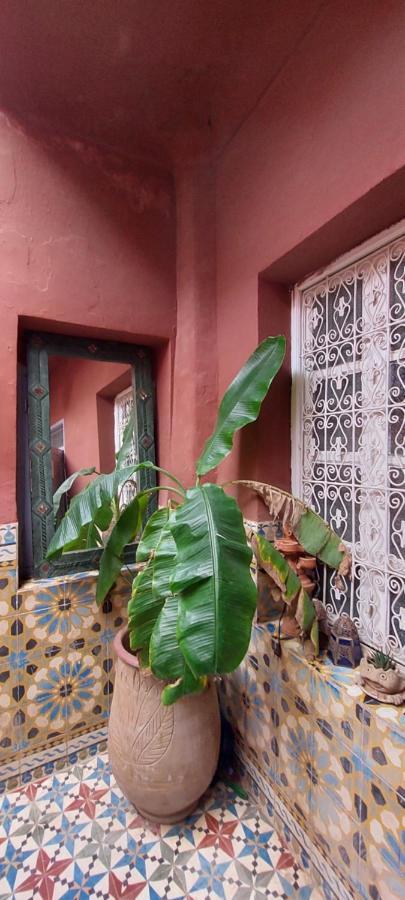 Riad Kainos Marrakesh Bagian luar foto